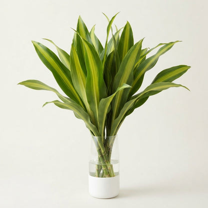 FeedSync:wholesale:a5d3429e58c78a3456b4f5f12213c86210f1de52