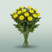 FeedSync:wholesale:0de5c580119ed3ca5cda334cc411eead9b9883d7