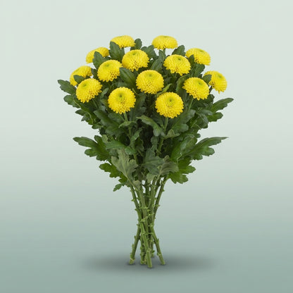 FeedSync:wholesale:0de5c580119ed3ca5cda334cc411eead9b9883d7