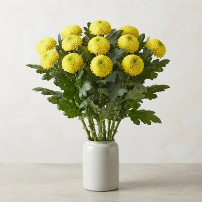 FeedSync:wholesale:a25392b95fb0fce80617977c298cde6734310ad7