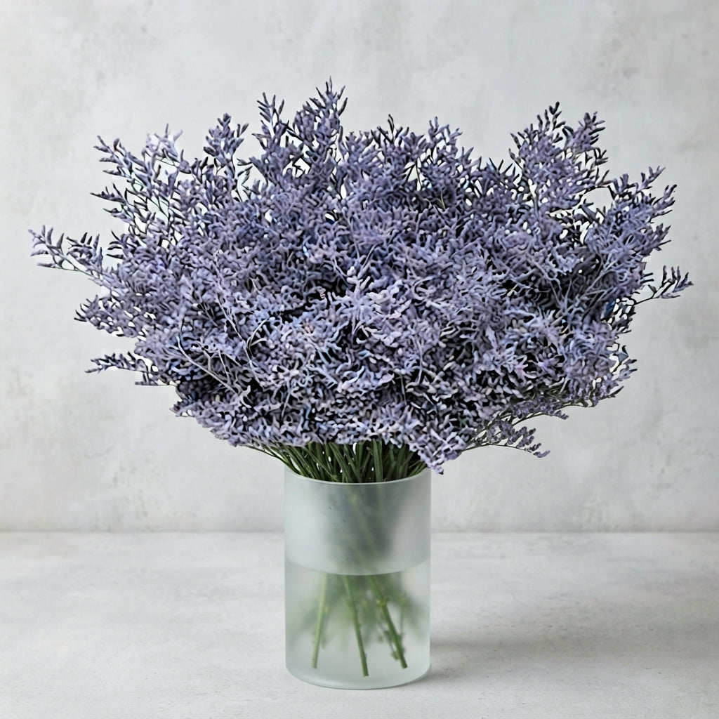 FeedSync:wholesale:d7b2b2373ce59dec24d39d46a43632a7bc835e06