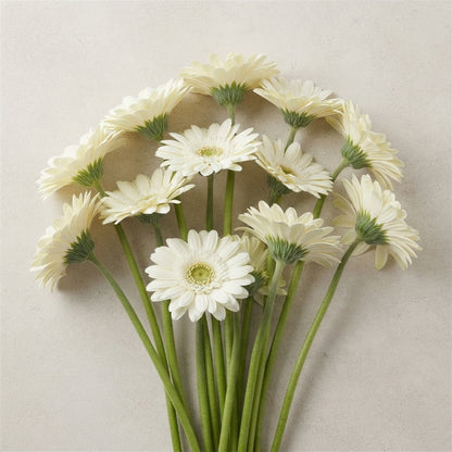 FeedSync:wholesale:24184dd51d746d0810e3c9c3d00f792d63acfe9d