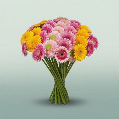 FeedSync:wholesale:e98bc707ca449b2221dfdbd32fc3a11dbf0a4f78