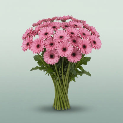 FeedSync:wholesale:584b6ba2e74f2c488e03295133476bb4332b2830