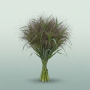FeedSync:wholesale:f804b974ab59e25520f55204342318501ad1d7f2