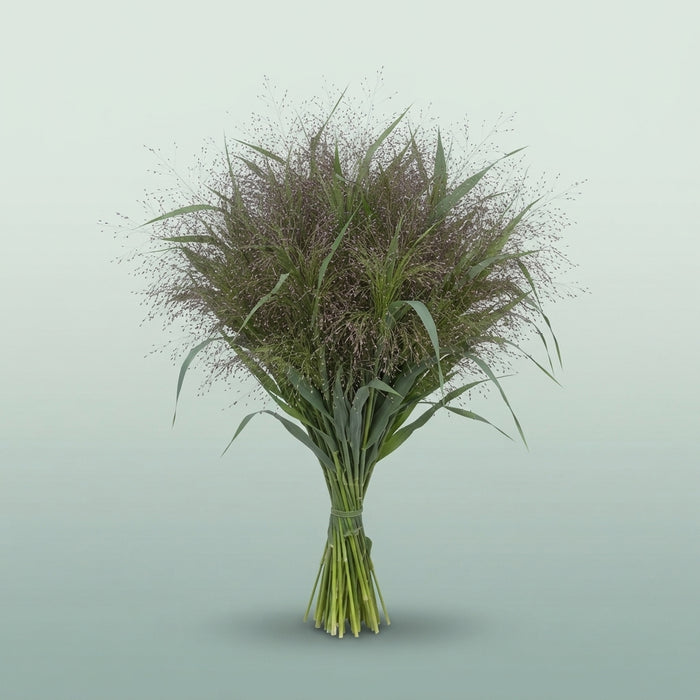 FeedSync:wholesale:f804b974ab59e25520f55204342318501ad1d7f2