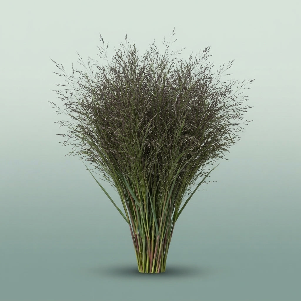 FeedSync:wholesale:cf896523c305d0d7dc4c9d42f51da4b6f2352434