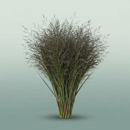 FeedSync:wholesale:cf896523c305d0d7dc4c9d42f51da4b6f2352434