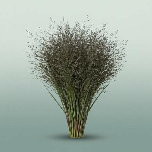 FeedSync:wholesale:cf896523c305d0d7dc4c9d42f51da4b6f2352434