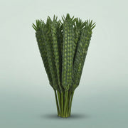 FeedSync:wholesale:adbb204346e67cae97ba0d0ae1de075af15e831d