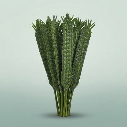 FeedSync:wholesale:adbb204346e67cae97ba0d0ae1de075af15e831d
