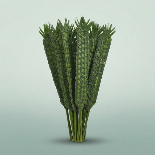 FeedSync:wholesale:adbb204346e67cae97ba0d0ae1de075af15e831d