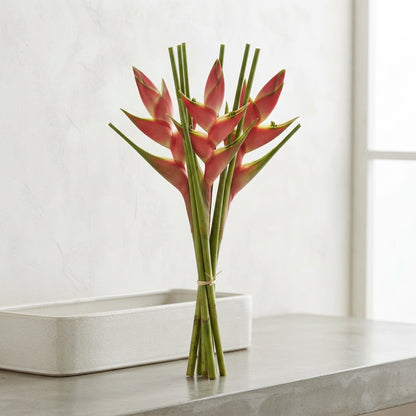 FeedSync:wholesale:74b288481ebca92a48b36d111fbbde2f78c8dbce