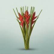 FeedSync:wholesale:1924b60e5ef9e1444e3961ed7a9e8646bbe45bad