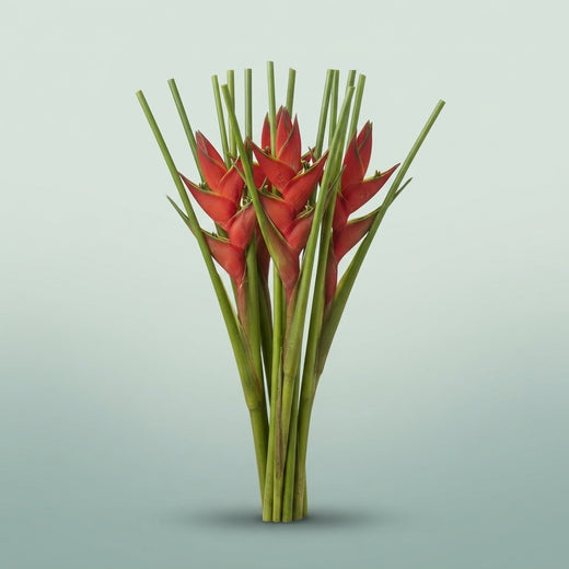 FeedSync:wholesale:1924b60e5ef9e1444e3961ed7a9e8646bbe45bad