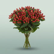 FeedSync:wholesale:3b258f4354c6b263c5170e87761077956e75b0ff
