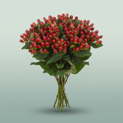 FeedSync:wholesale:3b258f4354c6b263c5170e87761077956e75b0ff