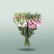 FeedSync:wholesale:ca69fbf0a535a97d41caf9431477053ed17468f7