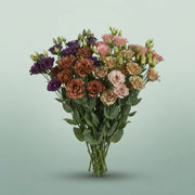 FeedSync:wholesale:10d120f8fdafa9fb0df6b1731c9c14f6ce93fbd4