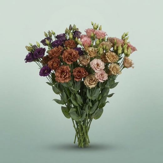 FeedSync:wholesale:10d120f8fdafa9fb0df6b1731c9c14f6ce93fbd4