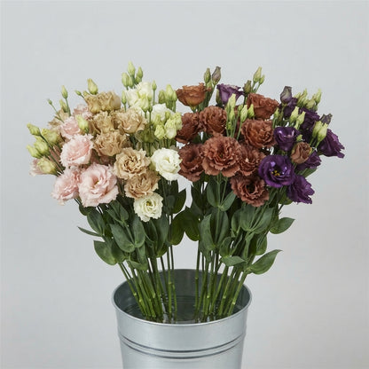 FeedSync:wholesale:007b9c2fe6ebdff135741d41c9734ebe50ab9c6b