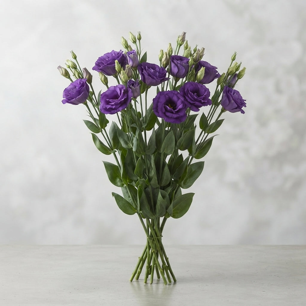 FeedSync:wholesale:9ea3304ddea3db60d6e7ebdfc5115f8a41f20e86