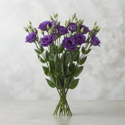FeedSync:wholesale:9ea3304ddea3db60d6e7ebdfc5115f8a41f20e86