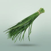 FeedSync:wholesale:1d8d748f19838ec18bf45c1281c6c8fec179aa21