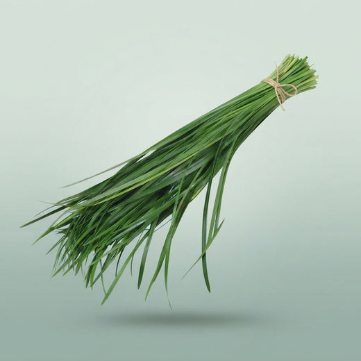 FeedSync:wholesale:1d8d748f19838ec18bf45c1281c6c8fec179aa21