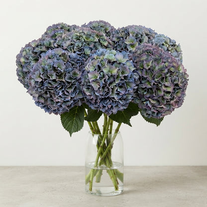 FeedSync:wholesale:187e986f0dbfa2a2856d9e0311b4ed4c44794e9a