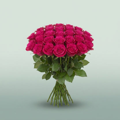 FeedSync:wholesale:f227293ce23aafe28dd23870cc5bc7a4681c7aa3