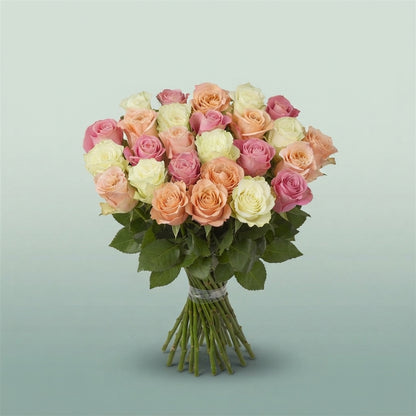 FeedSync:wholesale:03ff06a2e80c94e0832d5220f8b669c9af5e1c3f