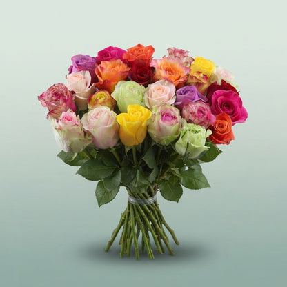 FeedSync:wholesale:7daf6c4a6dc7188c035246b08fc47b80aa29da36