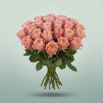 FeedSync:wholesale:ad24907cc257dd3a4bb68bddecab8e6342daabf3