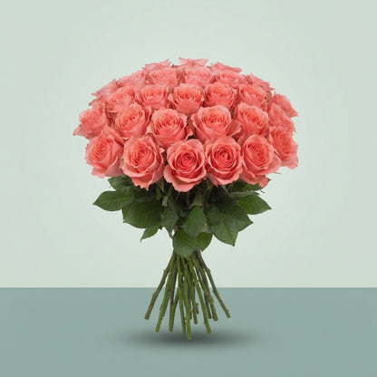 FeedSync:wholesale:d18776c07764e907008e3a4f20aadc16dfdf4bd8