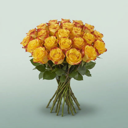 FeedSync:wholesale:5262054a864531296b4bada016ffd1b8049f4240