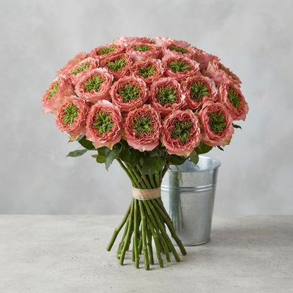 FeedSync:wholesale:50096d27054a7c8c9bff37f6d5618ee0b4ad87c5