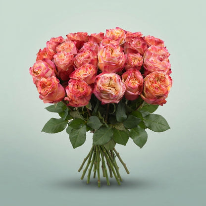 FeedSync:wholesale:943739be94d47d756470537ccb8fa50a664a2098