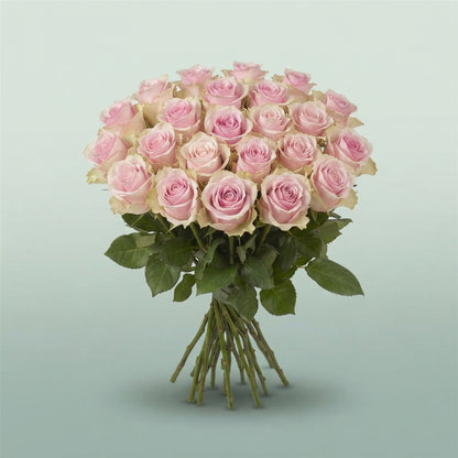 FeedSync:wholesale:916b1cd686b2bb4837b71b484a1342bb3e72fd38