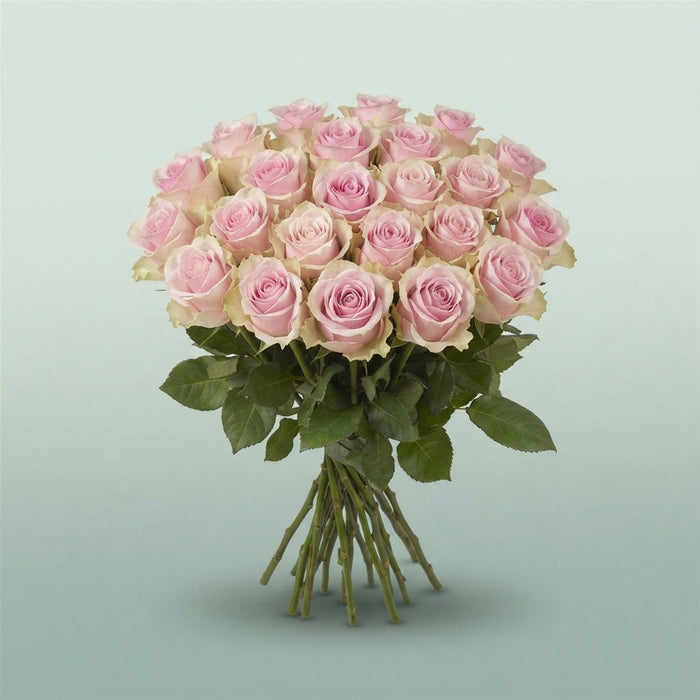 FeedSync:wholesale:916b1cd686b2bb4837b71b484a1342bb3e72fd38