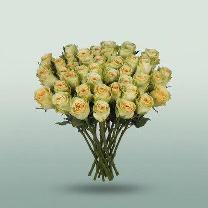 FeedSync:wholesale:2486629ccc803dadc9ca1cb9fe1553c2703e8629