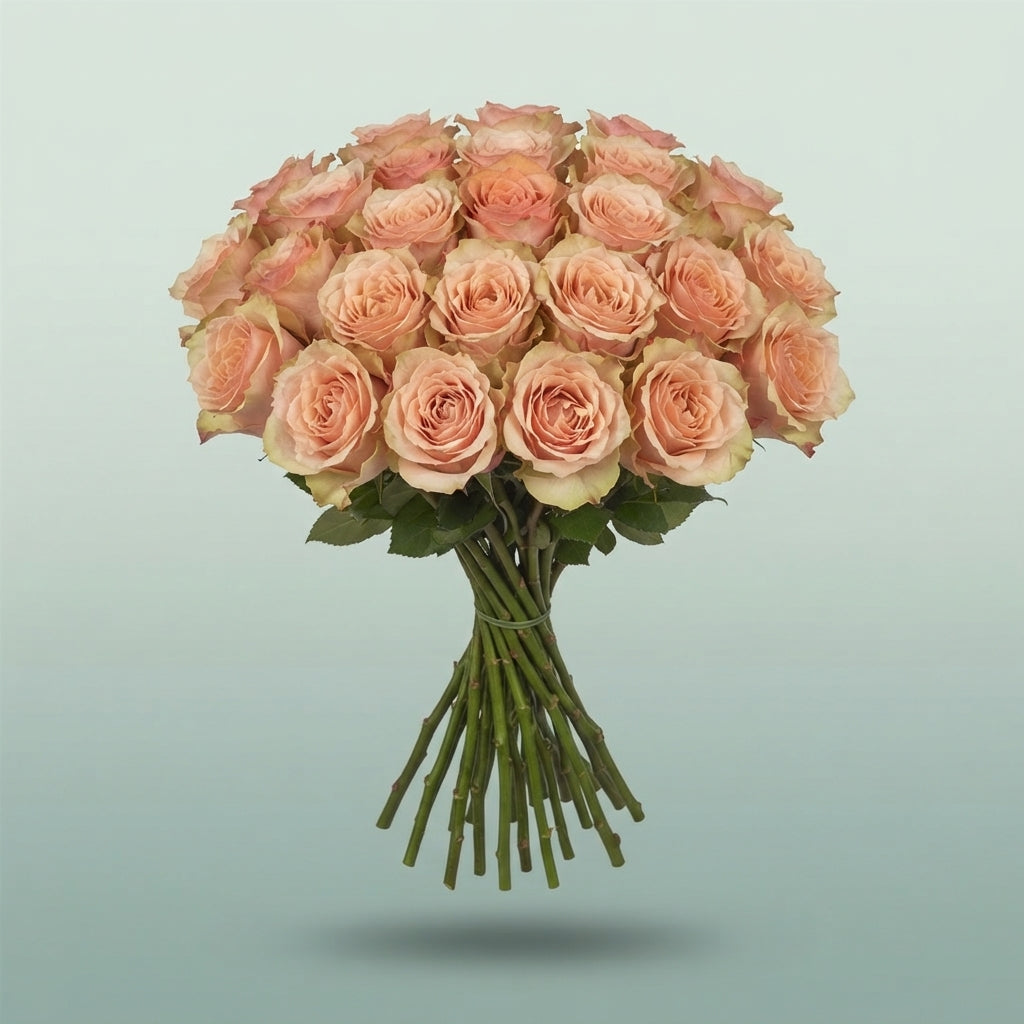 FeedSync:wholesale:2880a082c01fecd5ab05d94e7965dd29abb5ab88