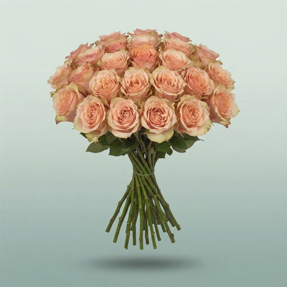 FeedSync:wholesale:2880a082c01fecd5ab05d94e7965dd29abb5ab88