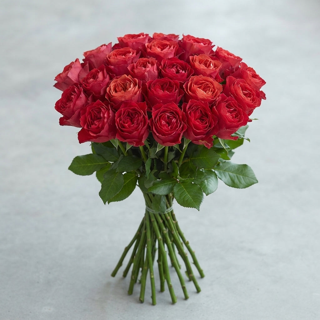 FeedSync:wholesale:42ca4bda201159ed75b8d96e3c428effdf747209
