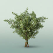FeedSync:wholesale:3e23117ed24fa36415bf74e80e46707f7e04c96e