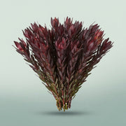 FeedSync:wholesale:fedf46dbeb6416632d484ceebd74337864f88a30