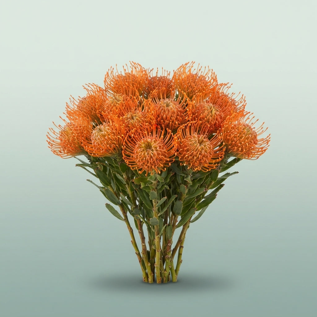 FeedSync:wholesale:3331137c7dd49281f9a64c408284aa007ff7a982