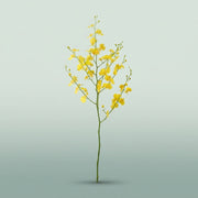 FeedSync:wholesale:4118b95edcd65e2643a7218d4c7d39ee1275496e