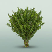 FeedSync:wholesale:b2db3965438cd807381d9353e7e1ff3e7390630b