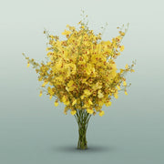 FeedSync:wholesale:e5dfc3087580994891ad1eae803580c83c0c8d5d
